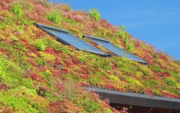 Gatehead living roof systems